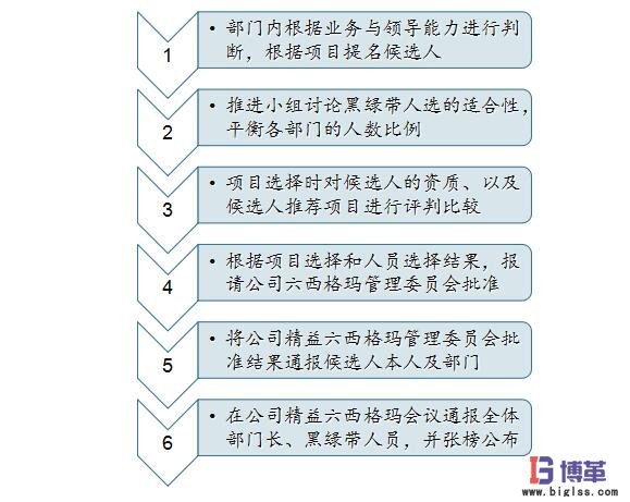 六西格瑪黑帶、綠帶人員的選擇