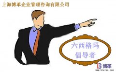 六西格瑪管理中倡導(dǎo)者的職責(zé)是什么？